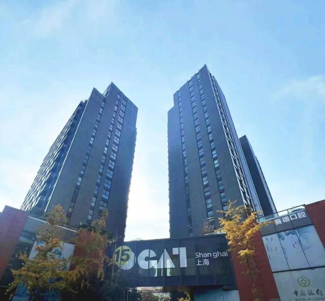 Zhome-deplex Luxury Apartment-near The Bund Apartment Shanghai